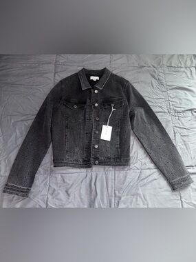Cello Black denim Jacket with silver studs